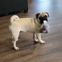 processed/d25c2fbd-ca2c-48d7-b370-e96bac60a3c2/facility/c55de939-6a93-43f5-bda1-529350818845