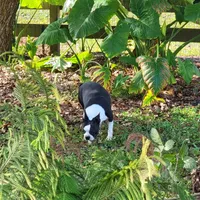 processed/d25c2fbd-ca2c-48d7-b370-e96bac60a3c2/facility/e1031128-d02b-444b-bfae-d6359b32cff8