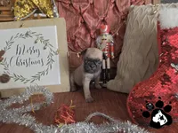 processed/d25c2fbd-ca2c-48d7-b370-e96bac60a3c2/listing/74879964-af05-46fe-ada7-914923e843ff/515d7ce9-ee6b-4bdd-a16c-f35f8b8fb30b