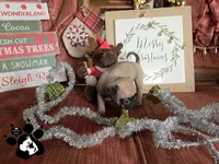 processed/d25c2fbd-ca2c-48d7-b370-e96bac60a3c2/listing/74879964-af05-46fe-ada7-914923e843ff/b2c73856-b558-4d32-aa7b-e8688972fdf6