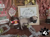 processed/d25c2fbd-ca2c-48d7-b370-e96bac60a3c2/listing/74879964-af05-46fe-ada7-914923e843ff/e56d5080-71d3-42a4-9472-944263214efe