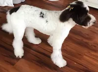 processed/d25dea2b-0b9f-4f91-b3a2-a99ea8163c5a/facility/1e481103-836c-431d-8bc9-5bd87b93c881