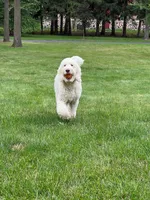 processed/d25dea2b-0b9f-4f91-b3a2-a99ea8163c5a/facility/2b9a18a3-edc8-4661-b7d9-8bf80f0aed79