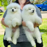 processed/d25dea2b-0b9f-4f91-b3a2-a99ea8163c5a/facility/7644e3fc-88b1-4e2d-b12a-f415068cb614