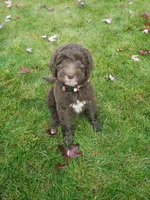 processed/d25dea2b-0b9f-4f91-b3a2-a99ea8163c5a/facility/9df66ea7-cec4-4a8e-8cf6-4749c4b527b6