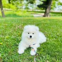 processed/d25dea2b-0b9f-4f91-b3a2-a99ea8163c5a/facility/c160dcee-dbfe-4f46-9f19-094aff824a23