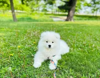 processed/d25dea2b-0b9f-4f91-b3a2-a99ea8163c5a/facility/c160dcee-dbfe-4f46-9f19-094aff824a23