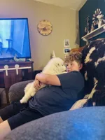 Rosemary 🪴, a female Samoyed for sale in Barron, WI – 4 of 5