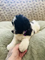 processed/d25dea2b-0b9f-4f91-b3a2-a99ea8163c5a/listing/222e52e2-c689-4681-b4ce-86516798ab61/279f4528-7772-464d-ba90-91d587cc6a6b