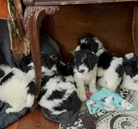 processed/d25dea2b-0b9f-4f91-b3a2-a99ea8163c5a/listing/222e52e2-c689-4681-b4ce-86516798ab61/3426429f-7824-45d9-903a-aeddf7550dc9