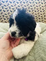 processed/d25dea2b-0b9f-4f91-b3a2-a99ea8163c5a/listing/222e52e2-c689-4681-b4ce-86516798ab61/6b43fbe9-6e01-49b7-aad0-f016fe9465cb