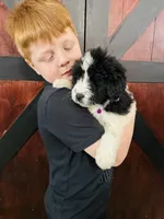 processed/d25dea2b-0b9f-4f91-b3a2-a99ea8163c5a/listing/222e52e2-c689-4681-b4ce-86516798ab61/86c30a7f-a678-4f93-9998-d650058f120d