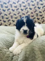 processed/d25dea2b-0b9f-4f91-b3a2-a99ea8163c5a/listing/222e52e2-c689-4681-b4ce-86516798ab61/a796c149-3aa6-4462-a5bd-82a60391c13a