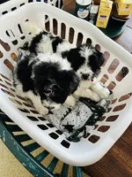 processed/d25dea2b-0b9f-4f91-b3a2-a99ea8163c5a/listing/e4b69ab3-2be4-4348-aa4a-6e26b01493d1/0a3ebafa-dbde-49b4-a9b2-6a26c2ad91cf