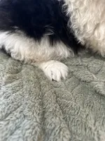 processed/d25dea2b-0b9f-4f91-b3a2-a99ea8163c5a/listing/e4b69ab3-2be4-4348-aa4a-6e26b01493d1/6873c783-b320-4e8b-90bf-128c9ba93640