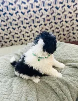 processed/d25dea2b-0b9f-4f91-b3a2-a99ea8163c5a/listing/e4b69ab3-2be4-4348-aa4a-6e26b01493d1/d67851d8-c97d-408d-8bd5-021e3468ed08