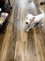 processed/d2614cc9-75e1-47dc-8ac1-1eeb672070aa/listing/6e944118-6c2f-45e3-b9a2-74095a059f06/39b105fd-9ee4-4ff9-ad93-52a48b0728bb