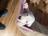 processed/d2614cc9-75e1-47dc-8ac1-1eeb672070aa/listing/6e944118-6c2f-45e3-b9a2-74095a059f06/649f0342-31d4-4bed-bb60-9ad29b226e0a