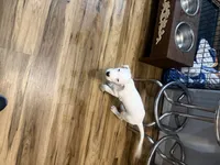 processed/d2614cc9-75e1-47dc-8ac1-1eeb672070aa/listing/6e944118-6c2f-45e3-b9a2-74095a059f06/9fd5fb39-b116-47a1-808d-374adfe2c128