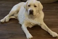 processed/d261ac33-ffc4-4b9f-9510-e8e94d31cfb7/facility/00b39880-e51d-484e-a4f4-0b926ea082d1