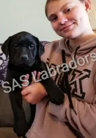 processed/d261ac33-ffc4-4b9f-9510-e8e94d31cfb7/facility/0c8a1530-74db-4d93-8cdc-ee24b6643b61