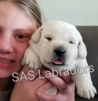 processed/d261ac33-ffc4-4b9f-9510-e8e94d31cfb7/facility/1d7062e9-0965-47c1-82bf-7b96ecb18812