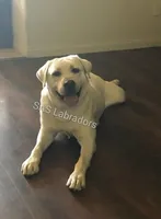 processed/d261ac33-ffc4-4b9f-9510-e8e94d31cfb7/facility/61e468f4-02b9-447e-bf71-3ac60d28570d