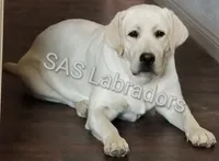 processed/d261ac33-ffc4-4b9f-9510-e8e94d31cfb7/facility/801fc21b-e936-47ba-b3e7-a9aaed42e543