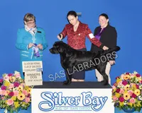 processed/d261ac33-ffc4-4b9f-9510-e8e94d31cfb7/listing/80e6826e-a1a4-488b-b345-c1a1d3c54d1b/ffcbe35f-0262-43d3-bca1-0752b7f8e26a