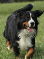 processed/d265f430-8059-4e60-a558-853606f0fcd8/facility/0394e18c-ac98-4cef-9e73-01461e96875d