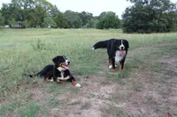 processed/d265f430-8059-4e60-a558-853606f0fcd8/facility/3d3e0655-5ac9-46bf-874f-4a6a5694f637