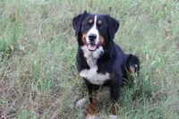 processed/d265f430-8059-4e60-a558-853606f0fcd8/facility/618fc7d7-3bc0-4aef-833e-4c191f675b46