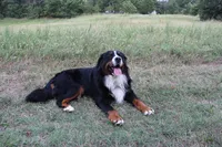 processed/d265f430-8059-4e60-a558-853606f0fcd8/facility/7d773cf2-43d1-4b63-860f-fd431f03a63a