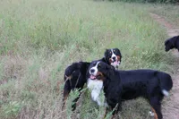 processed/d265f430-8059-4e60-a558-853606f0fcd8/facility/bdc0d3de-1ba6-4508-b84d-c08c1bc1b3d4