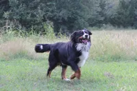 processed/d265f430-8059-4e60-a558-853606f0fcd8/facility/e990e795-ebd8-45d9-8b8e-66a36f4111ed