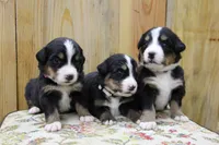 processed/d265f430-8059-4e60-a558-853606f0fcd8/facility/ebd794ce-6254-4d02-8597-2769a6b1b566