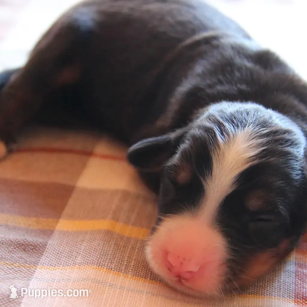 processed/d265f430-8059-4e60-a558-853606f0fcd8/listing/0a525133-0b11-4944-9395-0db46e110ad4/45a8d302-0afd-46b5-aa7a-681f7ffee16c