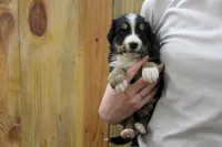 processed/d265f430-8059-4e60-a558-853606f0fcd8/listing/0a525133-0b11-4944-9395-0db46e110ad4/6378acb6-eed0-42d0-9131-dc02cf078e30