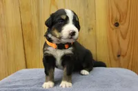 processed/d265f430-8059-4e60-a558-853606f0fcd8/listing/0a525133-0b11-4944-9395-0db46e110ad4/69b2f66f-71b8-414f-af37-9290708a7cf5