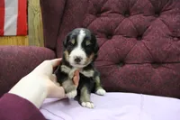 processed/d265f430-8059-4e60-a558-853606f0fcd8/listing/0a525133-0b11-4944-9395-0db46e110ad4/a9063d94-5b17-41de-ab5c-cf27e5625528