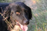 processed/d265f430-8059-4e60-a558-853606f0fcd8/listing/701cc832-2b59-4372-a1e4-b9ab64fee959/29614e5f-5210-4513-ab0a-edf5e2241dc8