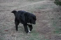 processed/d265f430-8059-4e60-a558-853606f0fcd8/listing/701cc832-2b59-4372-a1e4-b9ab64fee959/3963ac0d-1bcb-427a-8405-f5f2c8a8a731