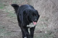 processed/d265f430-8059-4e60-a558-853606f0fcd8/listing/701cc832-2b59-4372-a1e4-b9ab64fee959/51afe448-e6d8-46a1-81ae-34a58adf35fd