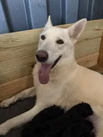 processed/d280436c-e424-4396-87e0-76d135030121/facility/bf8799e0-593e-4b7c-9491-1a067e6fdcbc