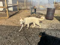 processed/d280436c-e424-4396-87e0-76d135030121/facility/e61d2217-bde3-4823-8d26-5a4d9951e6c6