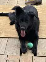 processed/d280436c-e424-4396-87e0-76d135030121/facility/f4ac2178-c5b5-408c-a4a3-d6a1f6cb2426