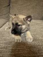 processed/d280436c-e424-4396-87e0-76d135030121/listing/12c57eb6-647c-4539-b4e7-8787ed26df6c/03f35375-47e6-4ba6-a75b-1cd31fc0493f