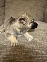 processed/d280436c-e424-4396-87e0-76d135030121/listing/12c57eb6-647c-4539-b4e7-8787ed26df6c/08f66b35-e308-47ca-9c79-de209732b292