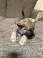 processed/d280436c-e424-4396-87e0-76d135030121/listing/12c57eb6-647c-4539-b4e7-8787ed26df6c/0d7128c4-c71a-4b9b-956d-835cb21ca1e4