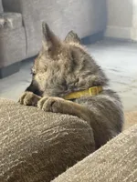 processed/d280436c-e424-4396-87e0-76d135030121/listing/12c57eb6-647c-4539-b4e7-8787ed26df6c/24f03209-a3c6-44f3-b68a-df352dce4d2b